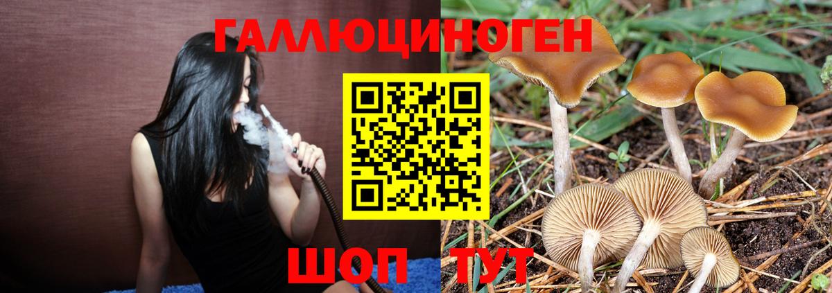 Трёхгорный  Галлюциногенные грибы мухоморы  Вход с VPN 
