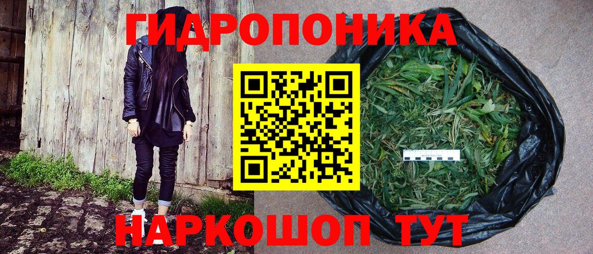 Каннабис план Трёхгорный